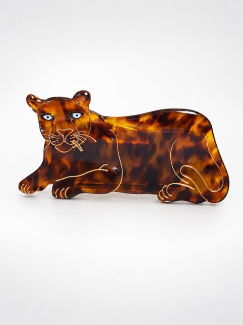 Hovedbilde Leopard - Brun