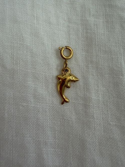 Hovedbilde Charm - Delfin