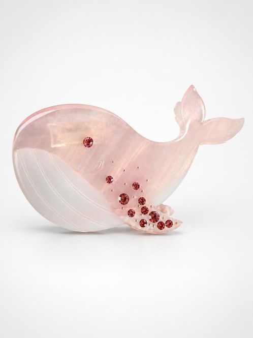 Hovedbilde Hval - Rosa